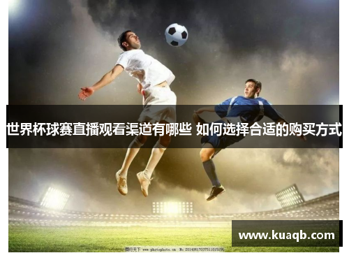 世界杯球赛直播观看渠道有哪些 如何选择合适的购买方式