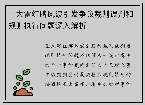 王大雷红牌风波引发争议裁判误判和规则执行问题深入解析