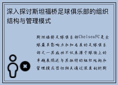 深入探讨斯坦福桥足球俱乐部的组织结构与管理模式